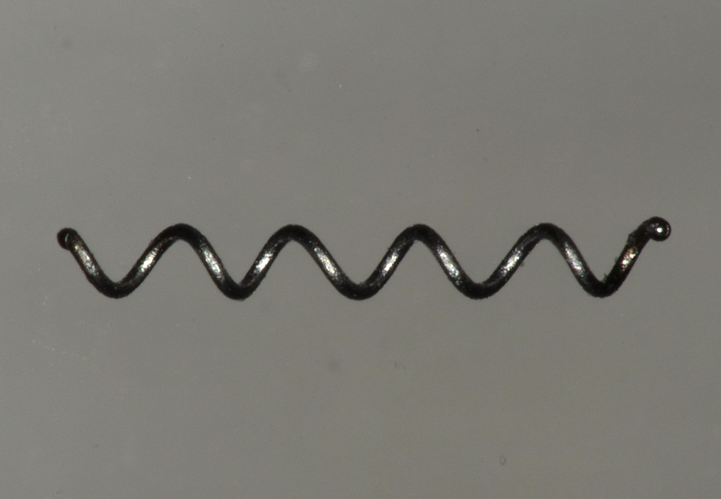Nitinol Microcoil 20250818.png